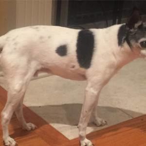 Meet your Posher, Mik